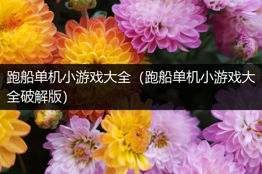 跑船单机小游戏大全（跑船单机小游戏大全破解版）