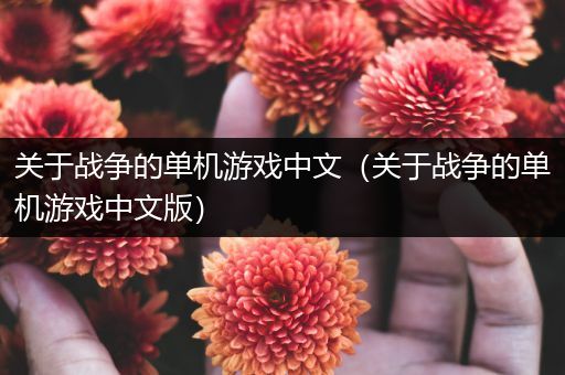 关于战争的单机游戏中文（关于战争的单机游戏中文版）