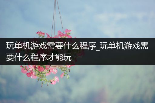 玩单机游戏需要什么程序_玩单机游戏需要什么程序才能玩