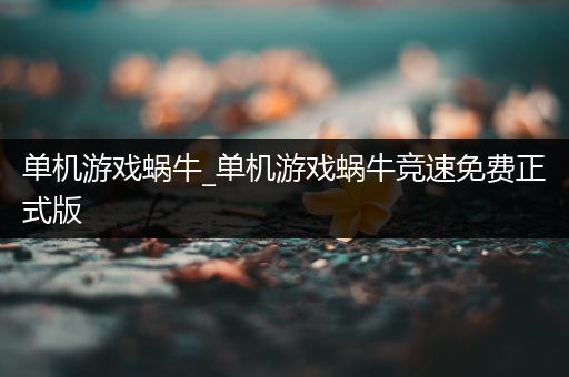 单机游戏蜗牛_单机游戏蜗牛竞速免费正式版