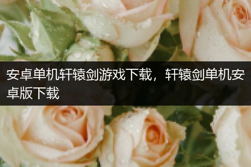 安卓单机轩辕剑游戏下载，轩辕剑单机安卓版下载