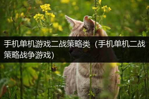 手机单机游戏二战策略类（手机单机二战策略战争游戏）