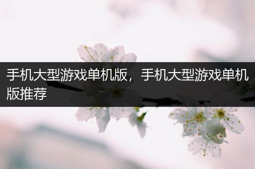 手机大型游戏单机版，手机大型游戏单机版推荐