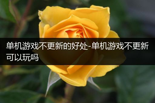 单机游戏不更新的好处-单机游戏不更新可以玩吗