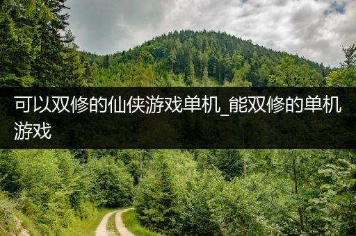 可以双修的仙侠游戏单机_能双修的单机游戏