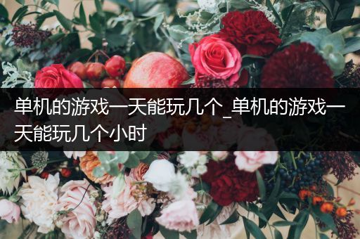 单机的游戏一天能玩几个_单机的游戏一天能玩几个小时
