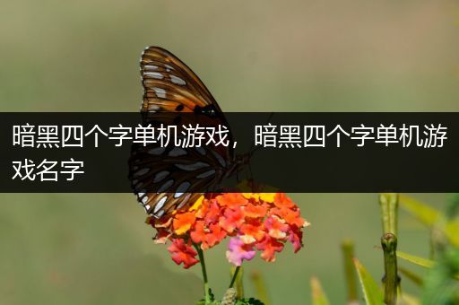 暗黑四个字单机游戏，暗黑四个字单机游戏名字