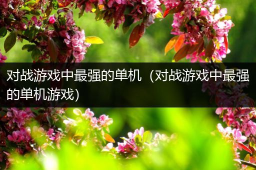 对战游戏中最强的单机（对战游戏中最强的单机游戏）