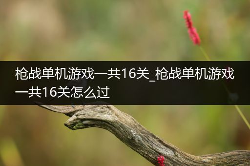 枪战单机游戏一共16关_枪战单机游戏一共16关怎么过