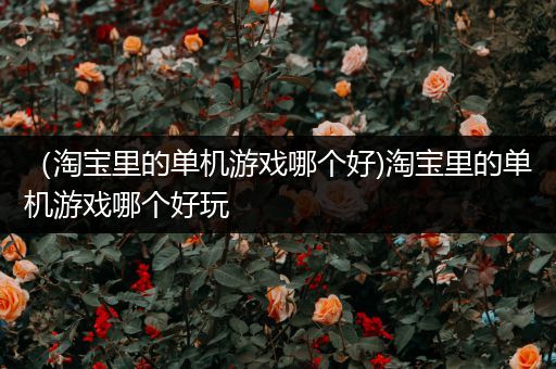 （淘宝里的单机游戏哪个好)淘宝里的单机游戏哪个好玩