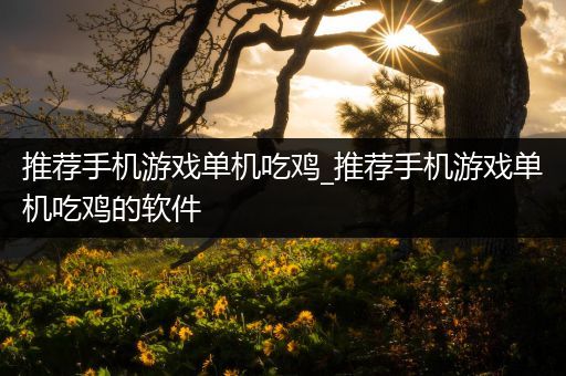 推荐手机游戏单机吃鸡_推荐手机游戏单机吃鸡的软件