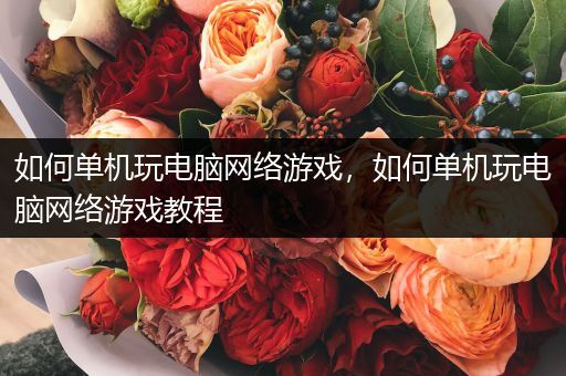 如何单机玩电脑网络游戏，如何单机玩电脑网络游戏教程