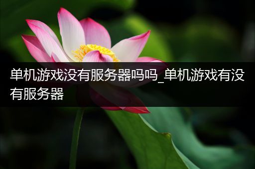 单机游戏没有服务器吗吗_单机游戏有没有服务器