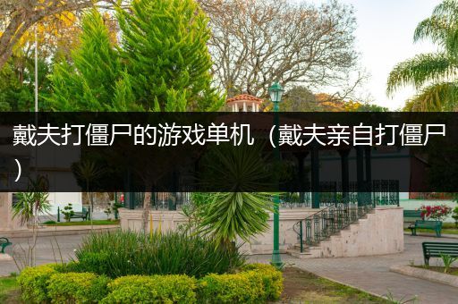 戴夫打僵尸的游戏单机（戴夫亲自打僵尸）