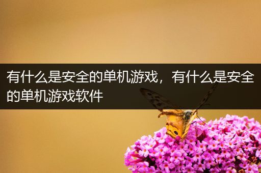 有什么是安全的单机游戏，有什么是安全的单机游戏软件