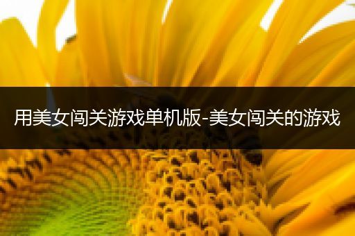用美女闯关游戏单机版-美女闯关的游戏
