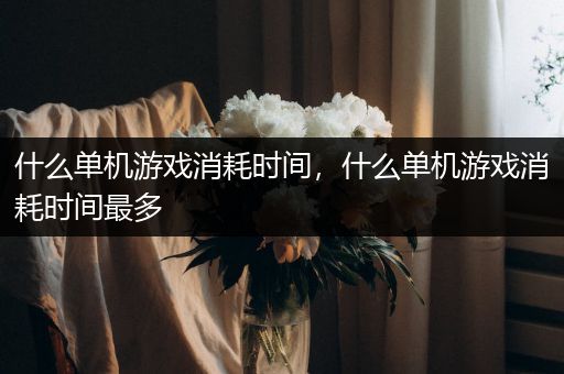 什么单机游戏消耗时间，什么单机游戏消耗时间最多