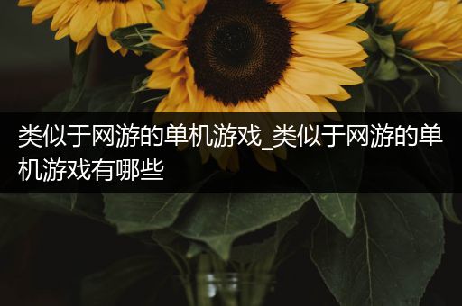 类似于网游的单机游戏_类似于网游的单机游戏有哪些