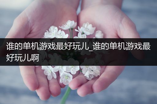 谁的单机游戏最好玩儿_谁的单机游戏最好玩儿啊