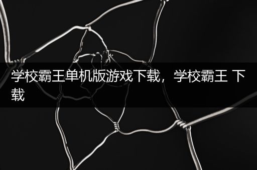 学校霸王单机版游戏下载，学校霸王 下载