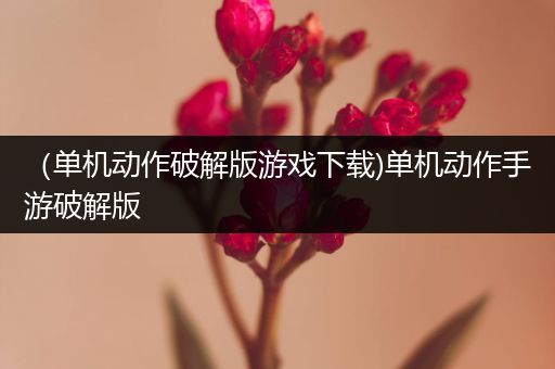 （单机动作破解版游戏下载)单机动作手游破解版