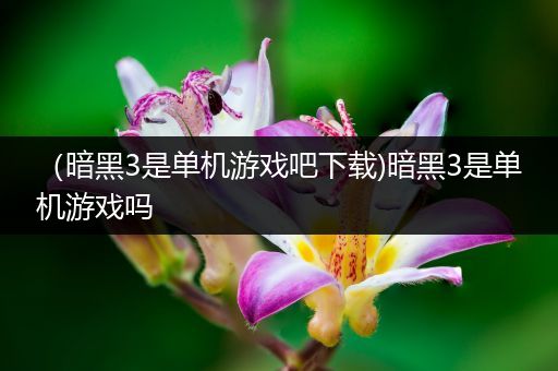 （暗黑3是单机游戏吧下载)暗黑3是单机游戏吗