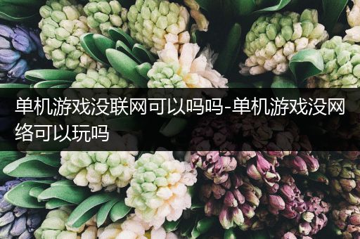 单机游戏没联网可以吗吗-单机游戏没网络可以玩吗