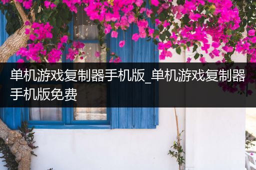 单机游戏复制器手机版_单机游戏复制器手机版免费