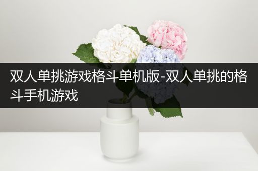 双人单挑游戏格斗单机版-双人单挑的格斗手机游戏