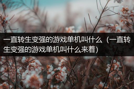 一直转生变强的游戏单机叫什么（一直转生变强的游戏单机叫什么来着）