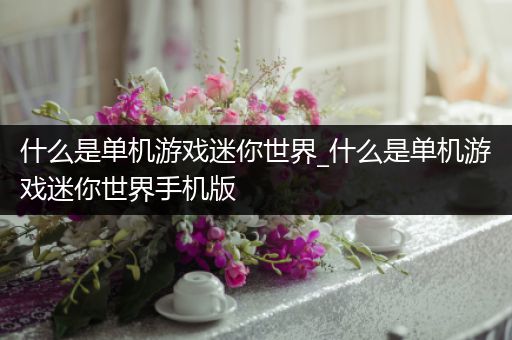 什么是单机游戏迷你世界_什么是单机游戏迷你世界手机版