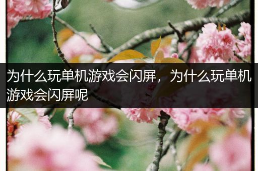 为什么玩单机游戏会闪屏，为什么玩单机游戏会闪屏呢