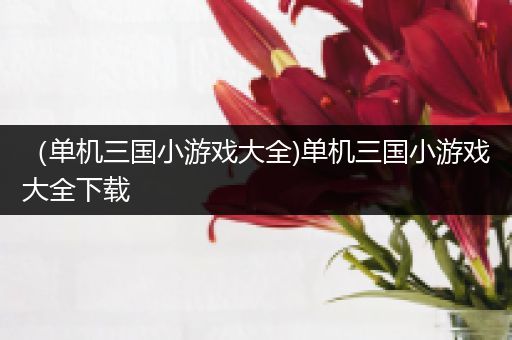 （单机三国小游戏大全)单机三国小游戏大全下载