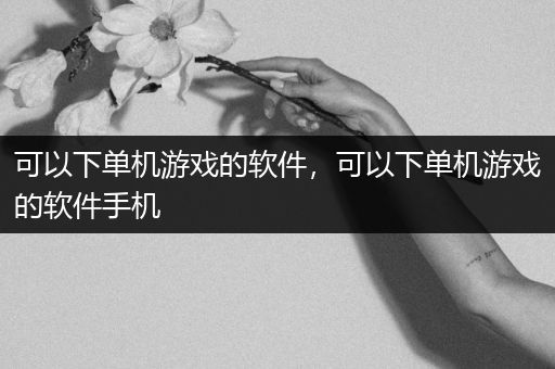 可以下单机游戏的软件，可以下单机游戏的软件手机