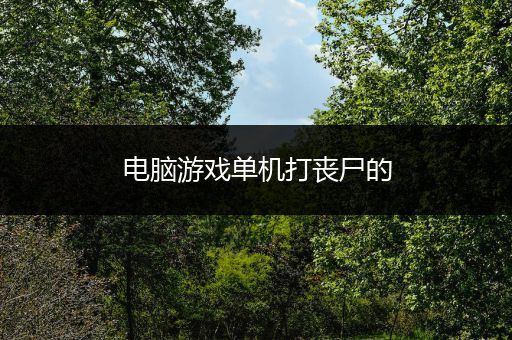 电脑游戏单机打丧尸的