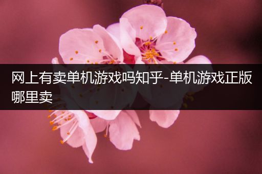 网上有卖单机游戏吗知乎-单机游戏正版哪里卖