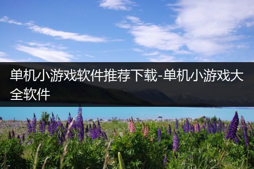 单机小游戏软件推荐下载-单机小游戏大全软件