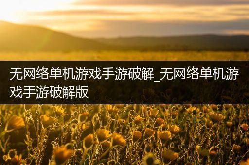 无网络单机游戏手游破解_无网络单机游戏手游破解版