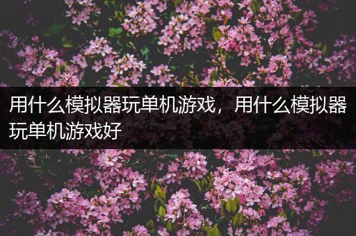 用什么模拟器玩单机游戏，用什么模拟器玩单机游戏好
