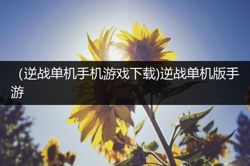 （逆战单机手机游戏下载)逆战单机版手游