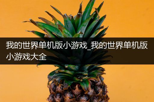 我的世界单机版小游戏_我的世界单机版小游戏大全