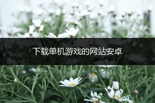 下载单机游戏的网站安卓