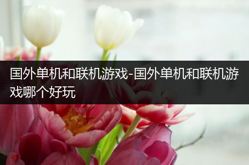 国外单机和联机游戏-国外单机和联机游戏哪个好玩