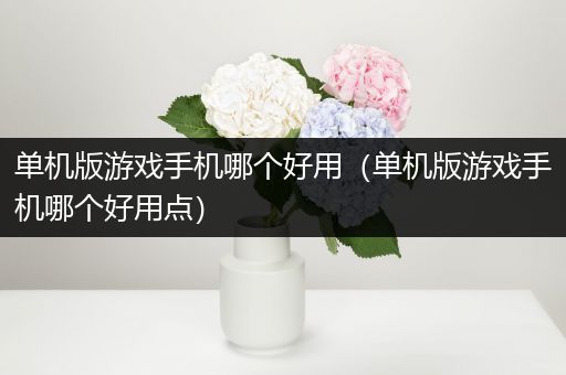 单机版游戏手机哪个好用（单机版游戏手机哪个好用点）