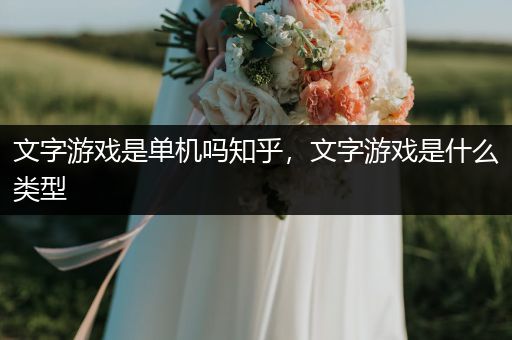 文字游戏是单机吗知乎，文字游戏是什么类型