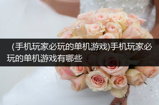 （手机玩家必玩的单机游戏)手机玩家必玩的单机游戏有哪些