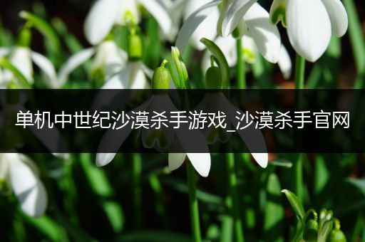 单机中世纪沙漠杀手游戏_沙漠杀手官网