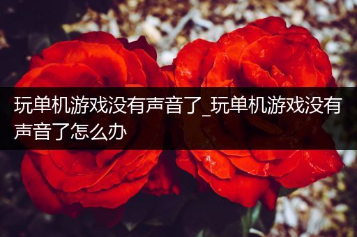玩单机游戏没有声音了_玩单机游戏没有声音了怎么办