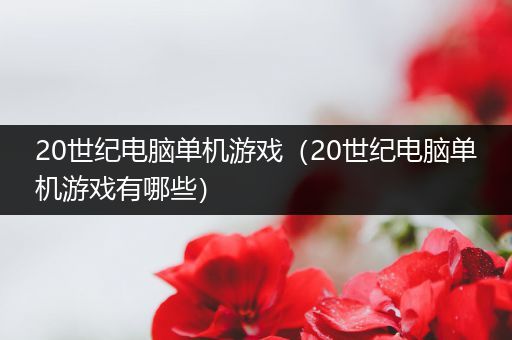 20世纪电脑单机游戏（20世纪电脑单机游戏有哪些）