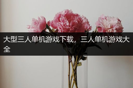 大型三人单机游戏下载，三人单机游戏大全